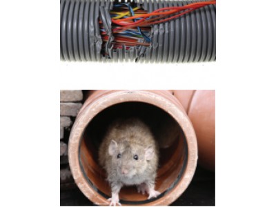 Flexo Rodent Resistant (RRN) - обплетення для захисту від гризунів!